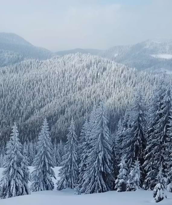 Bine ați venit într-o lume mai verde cu pompe de căldură aer-apă